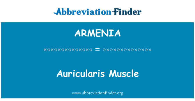 ARMENIA: Auricularis muscular