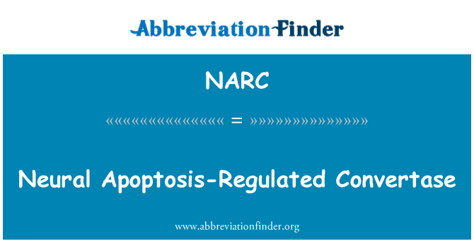 NARC: Saraf Apoptosis-diatur Convertase