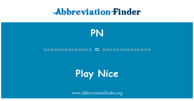 pn-definition-play-nice-abbreviation-finder